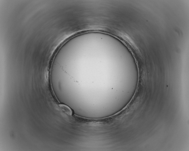 X0000115031268200911091335