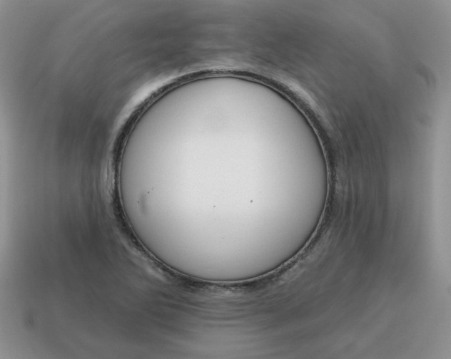 X0000115031270200911091335