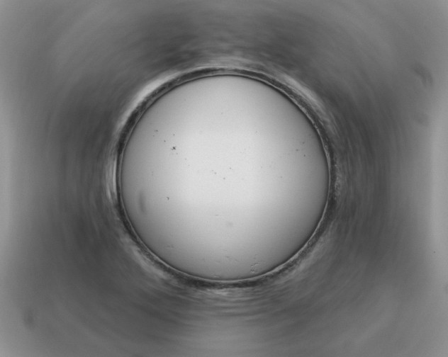 X0000115031272200911091335