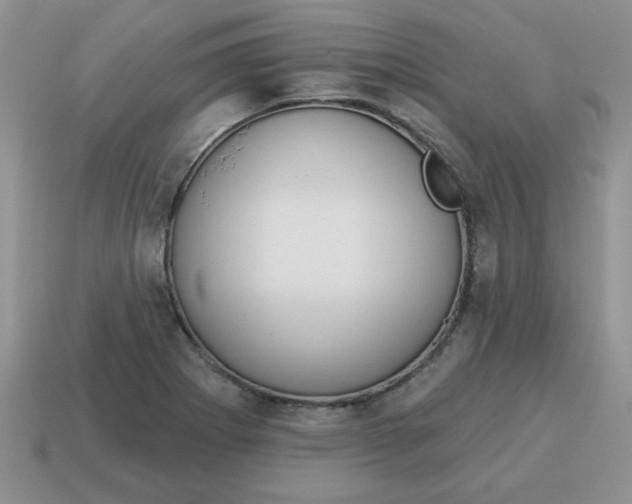 X0000115031273200911091335