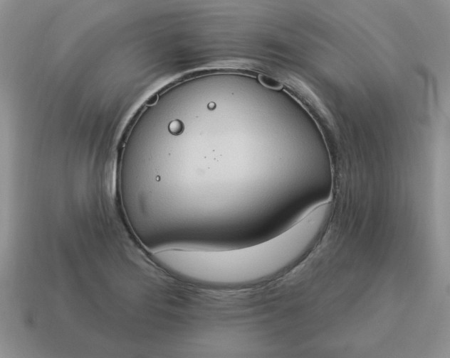 X0000115031276200911091335