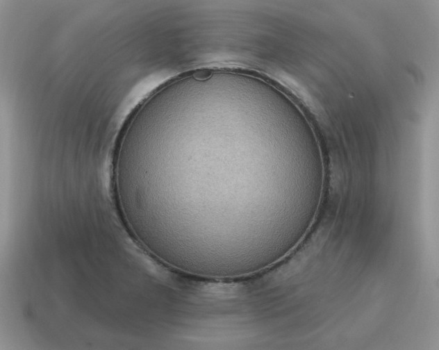 X0000115031277200911091335