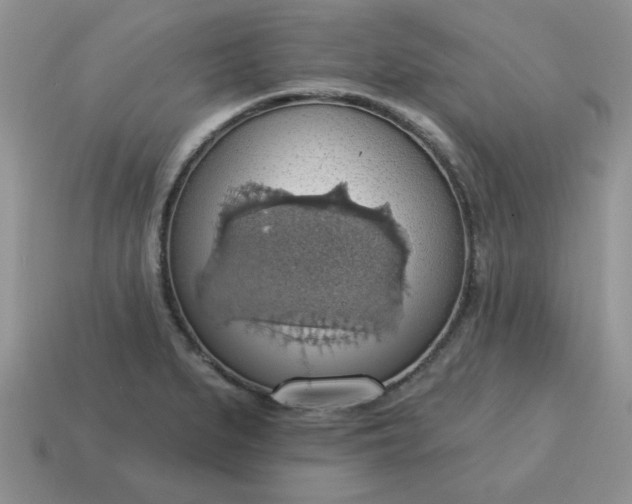 X0000115031279200911091335