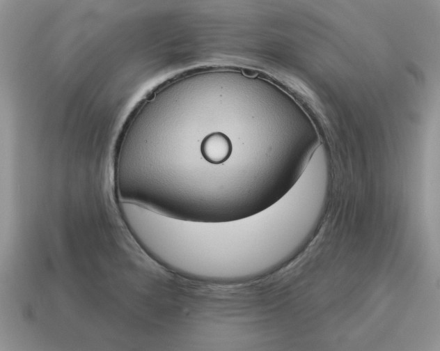 X0000115031280200911091335