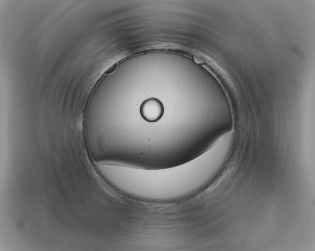 X0000115031281200911091335