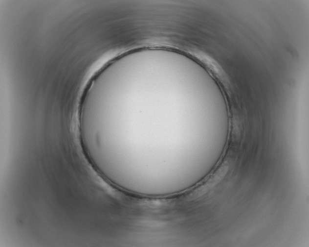 X0000115031286200911091335