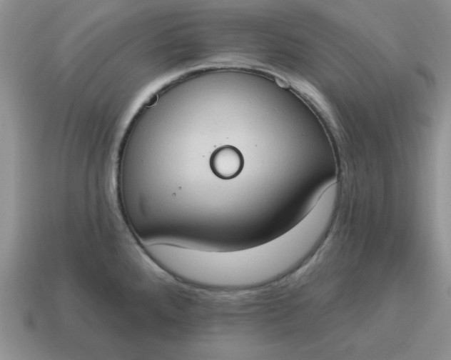 X0000115031288200911091335
