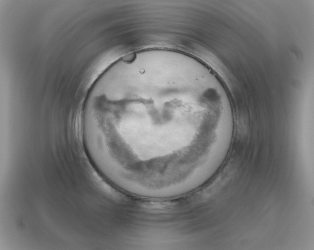 X0000115031290200911091335