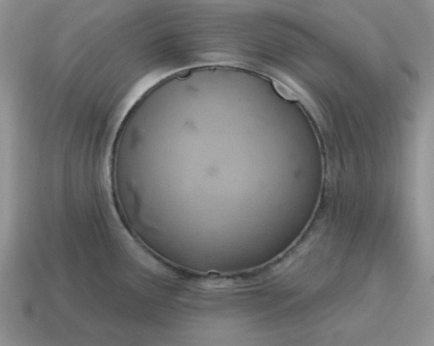 X0000115031291200911091335