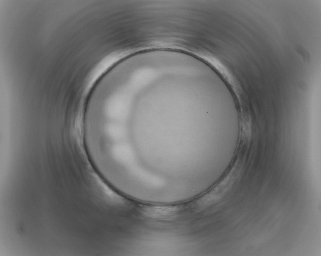 X0000115031294200911091335