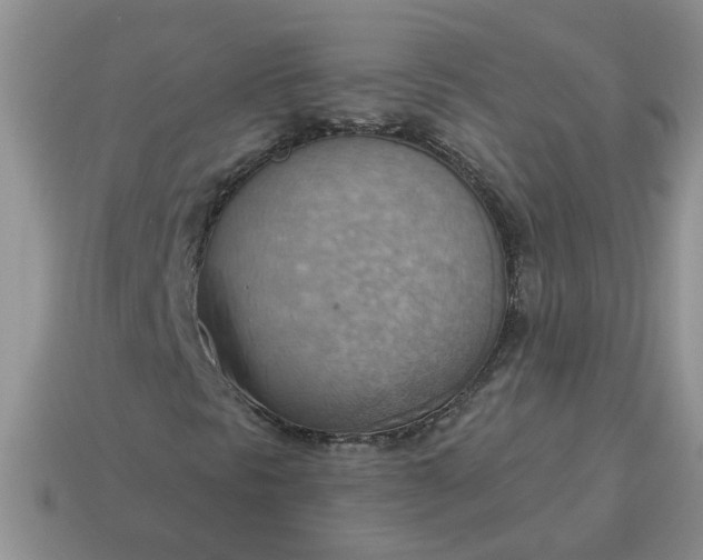 X0000115031297200911091334