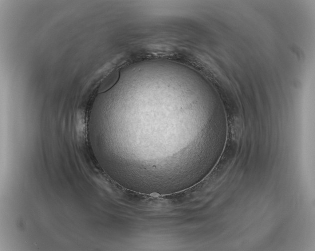 X0000115031298200911091334