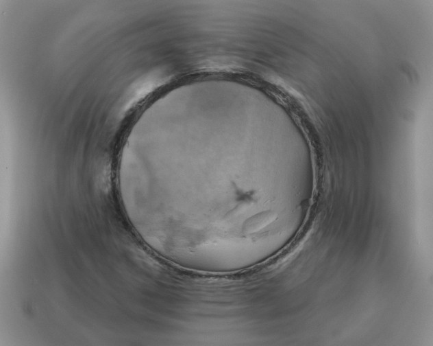 X0000115031306200911091334