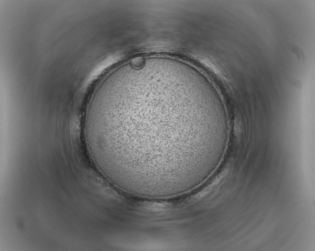 X0000115031309200911091334