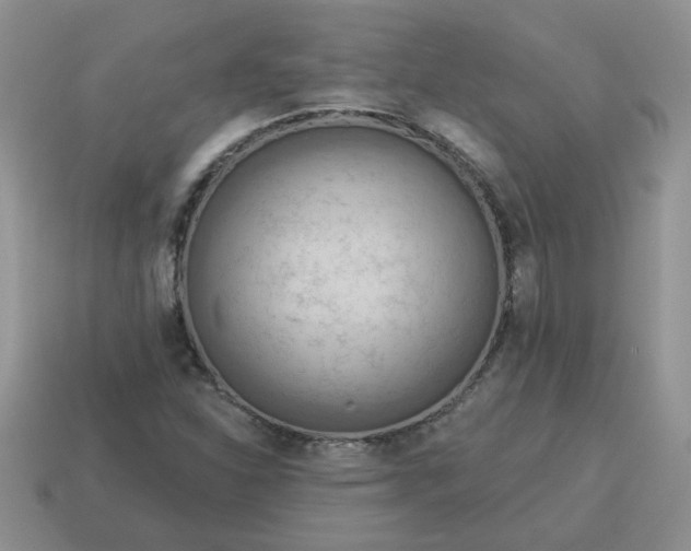 X0000115031310200911091334