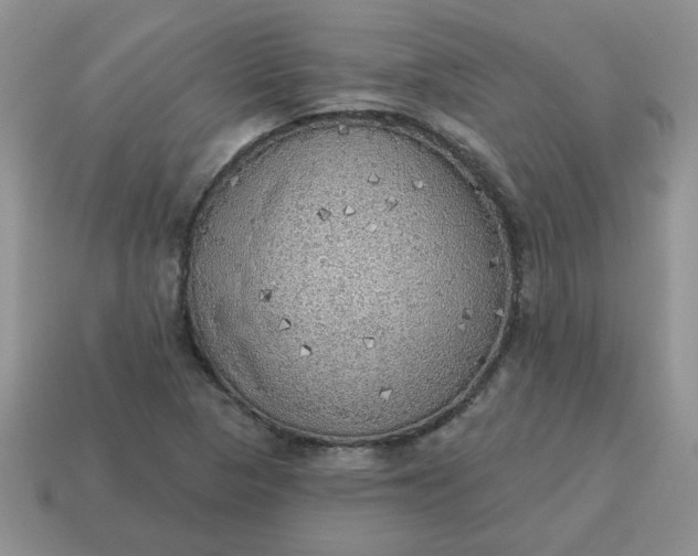 X0000115031313200911091334