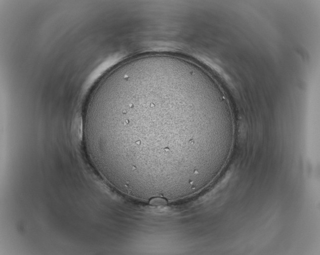 X0000115031317200911091334