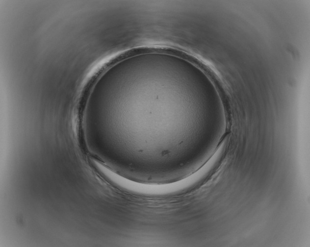 X0000115031319200911091334