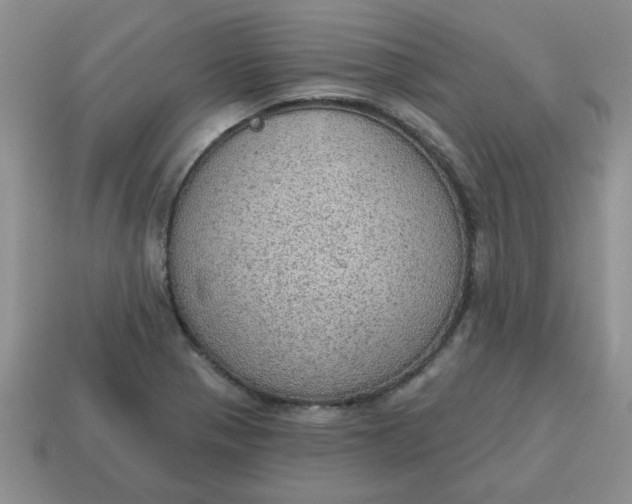 X0000115031321200911091334