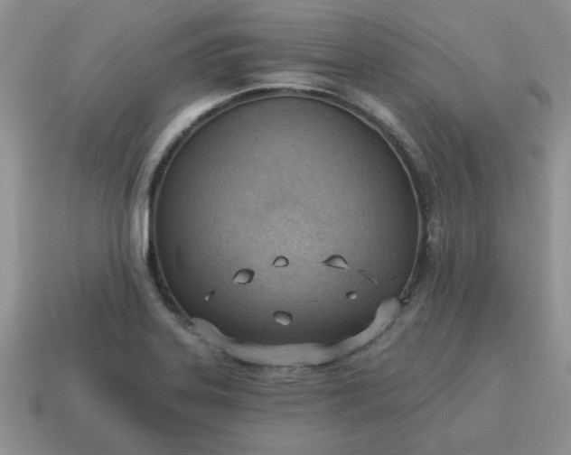 X0000115031323200911091334