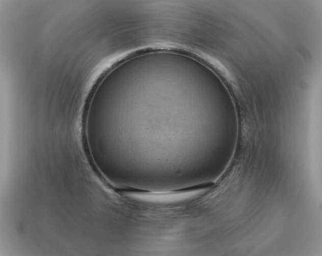 X0000115031327200911091334