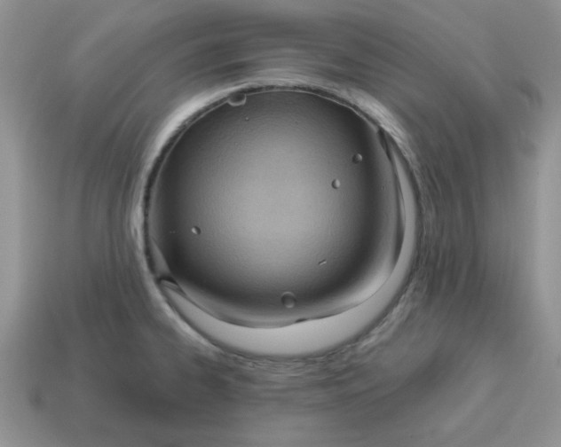 X0000115031334200911091334