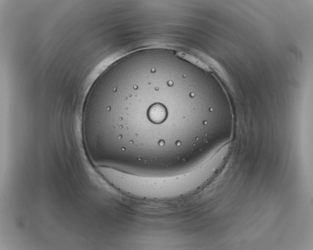 X0000115031338200911091334