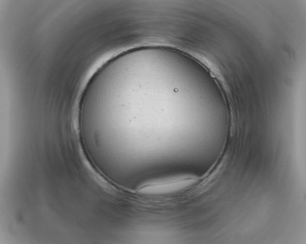 X0000115031342200911091334