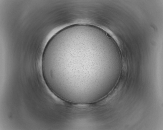 X0000115031343200911091335