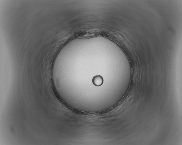 X0000115031345200911091334