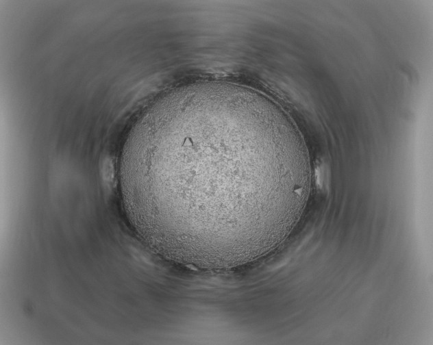 X0000115031347200911091334