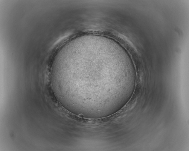 X0000115031350200911091334