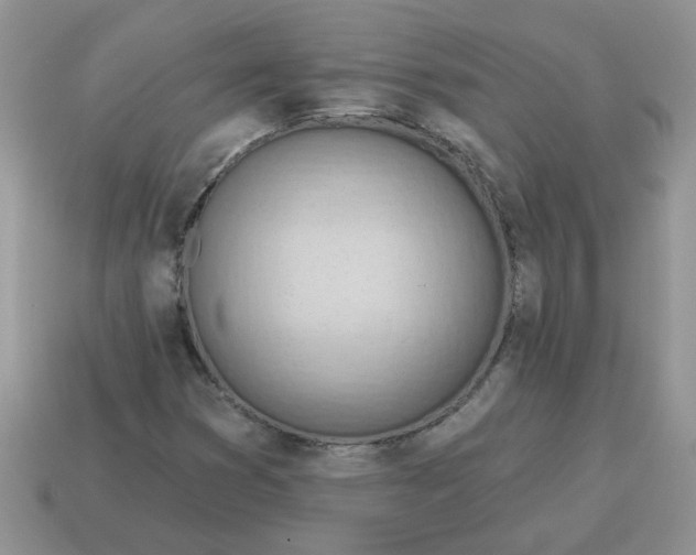 X0000115031353200911091334