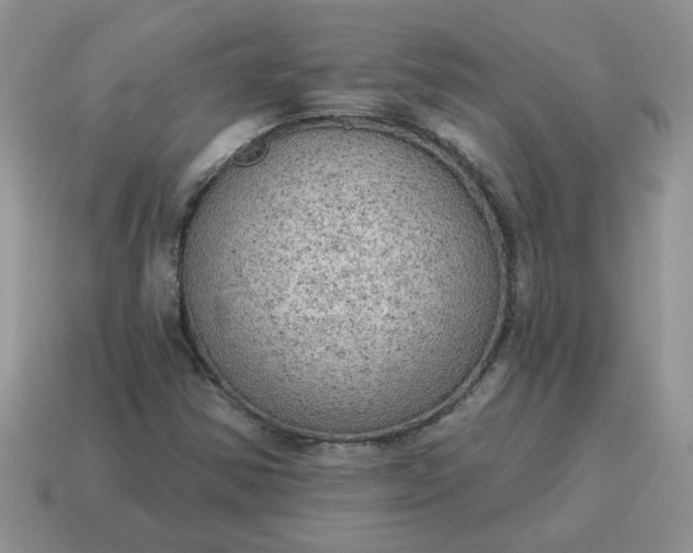 X0000115031354200911091334