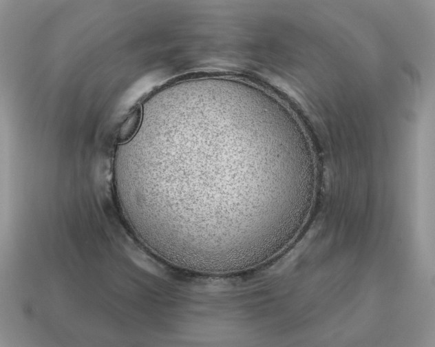 X0000115031355200911091334