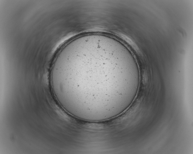 X0000115031356200911091334