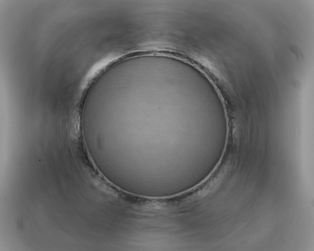 X0000115031358200911091334