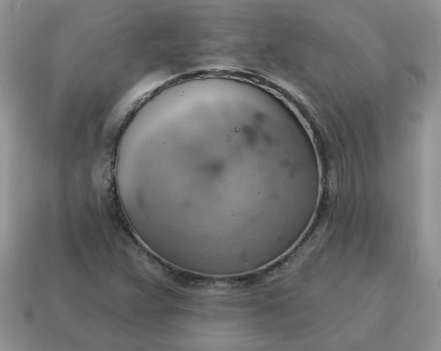 X0000115031359200911091334