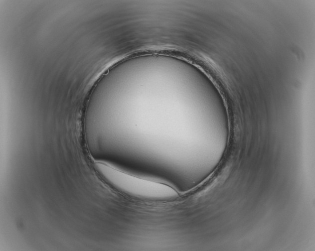 X0000115031361200911091334