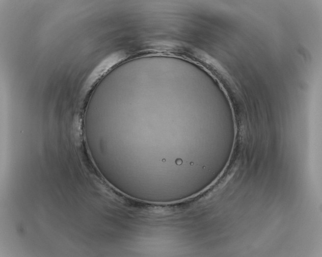 X0000115031362200911091334
