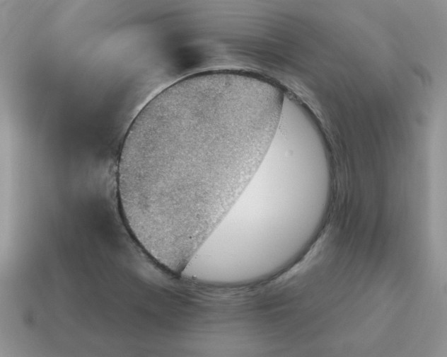 X0000115031369200911091334