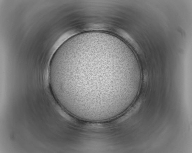 X0000115031370200911091334