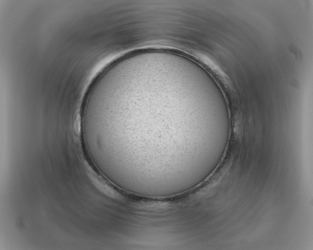 X0000115031372200911091334