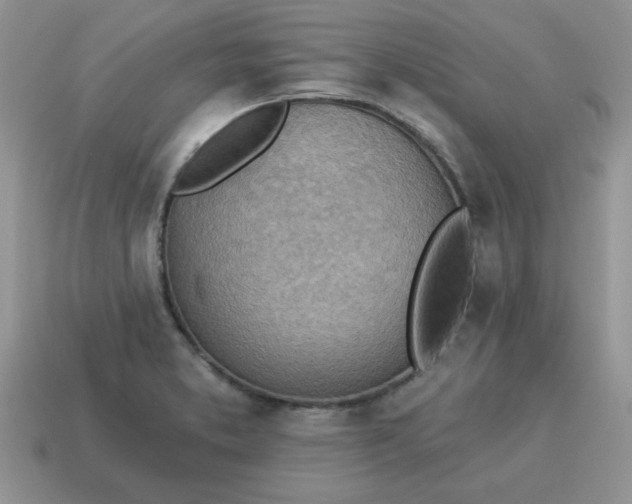 X0000115031373200911091334