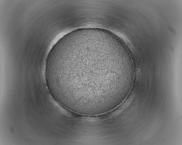 X0000115031374200911091334