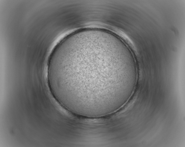 X0000115031376200911091334