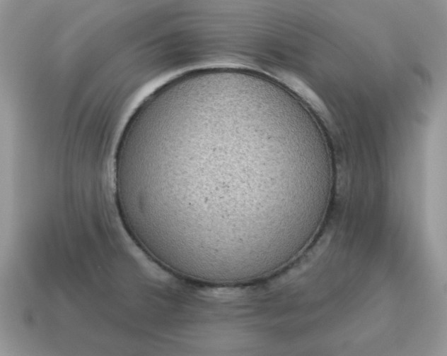 X0000115031380200911091333