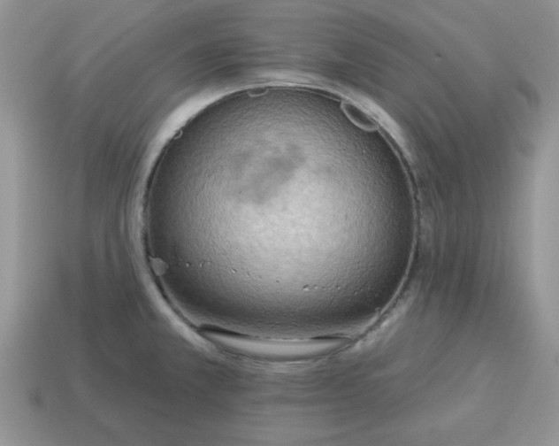 X0000115031381200911091333
