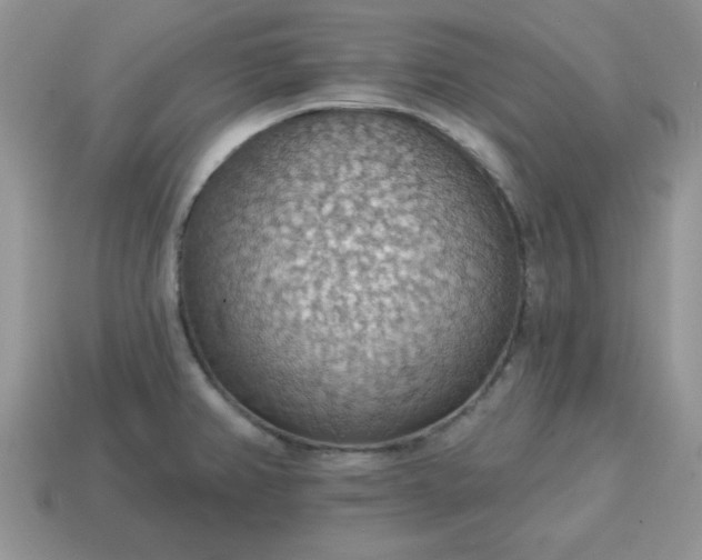 X0000115031382200911091333