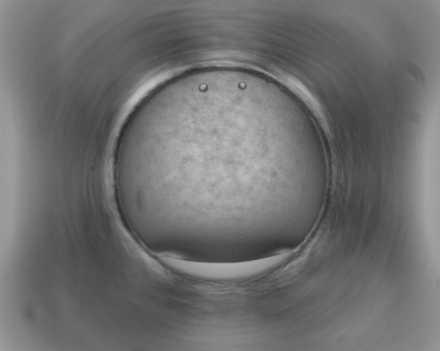 X0000115031384200911091333